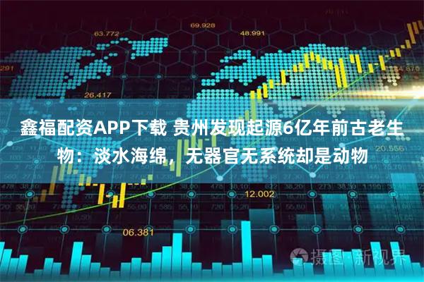 鑫福配资APP下载 贵州发现起源6亿年前古老生物：淡水海绵，无器官无系统却是动物