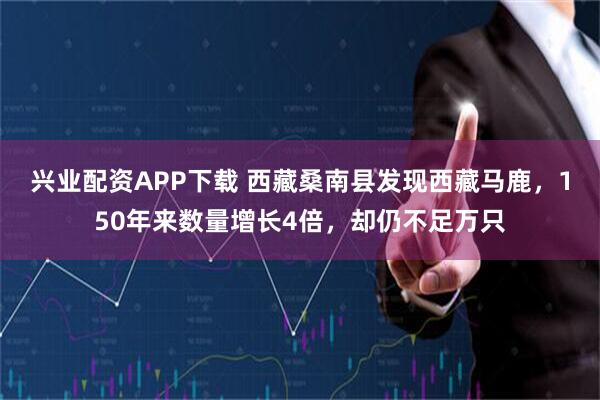 兴业配资APP下载 西藏桑南县发现西藏马鹿，150年来数量增长4倍，却仍不足万只