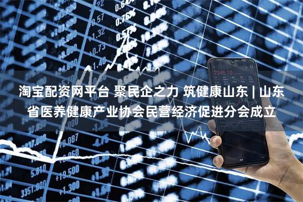 淘宝配资网平台 聚民企之力 筑健康山东 | 山东省医养健康产业协会民营经济促进分会成立