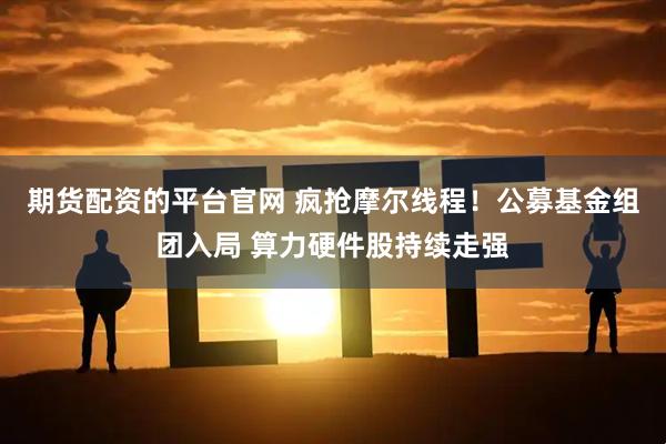 期货配资的平台官网 疯抢摩尔线程！公募基金组团入局 算力硬件股持续走强