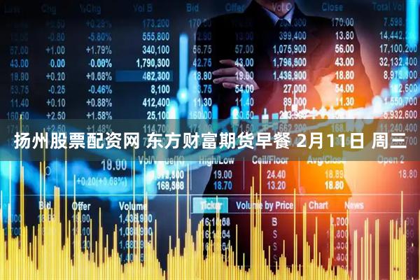 扬州股票配资网 东方财富期货早餐 2月11日 周三